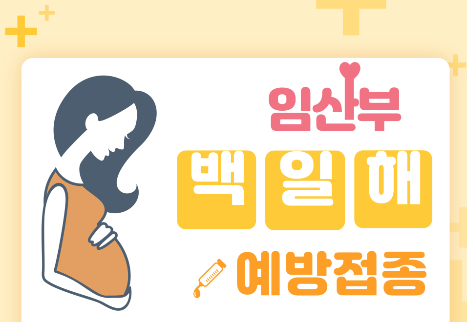 임산부 백일해 접종
